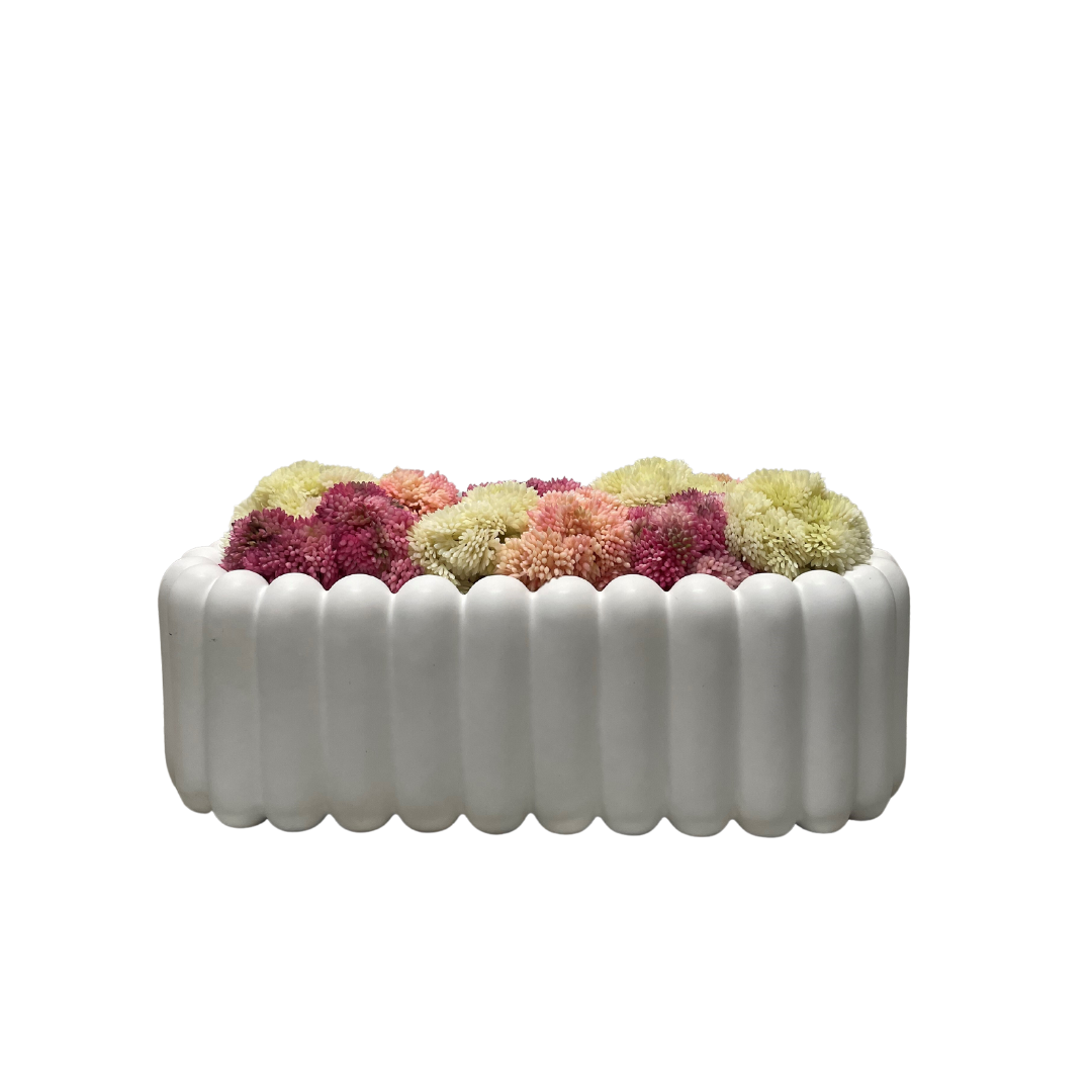 Pink Modern Sedum Arrangement