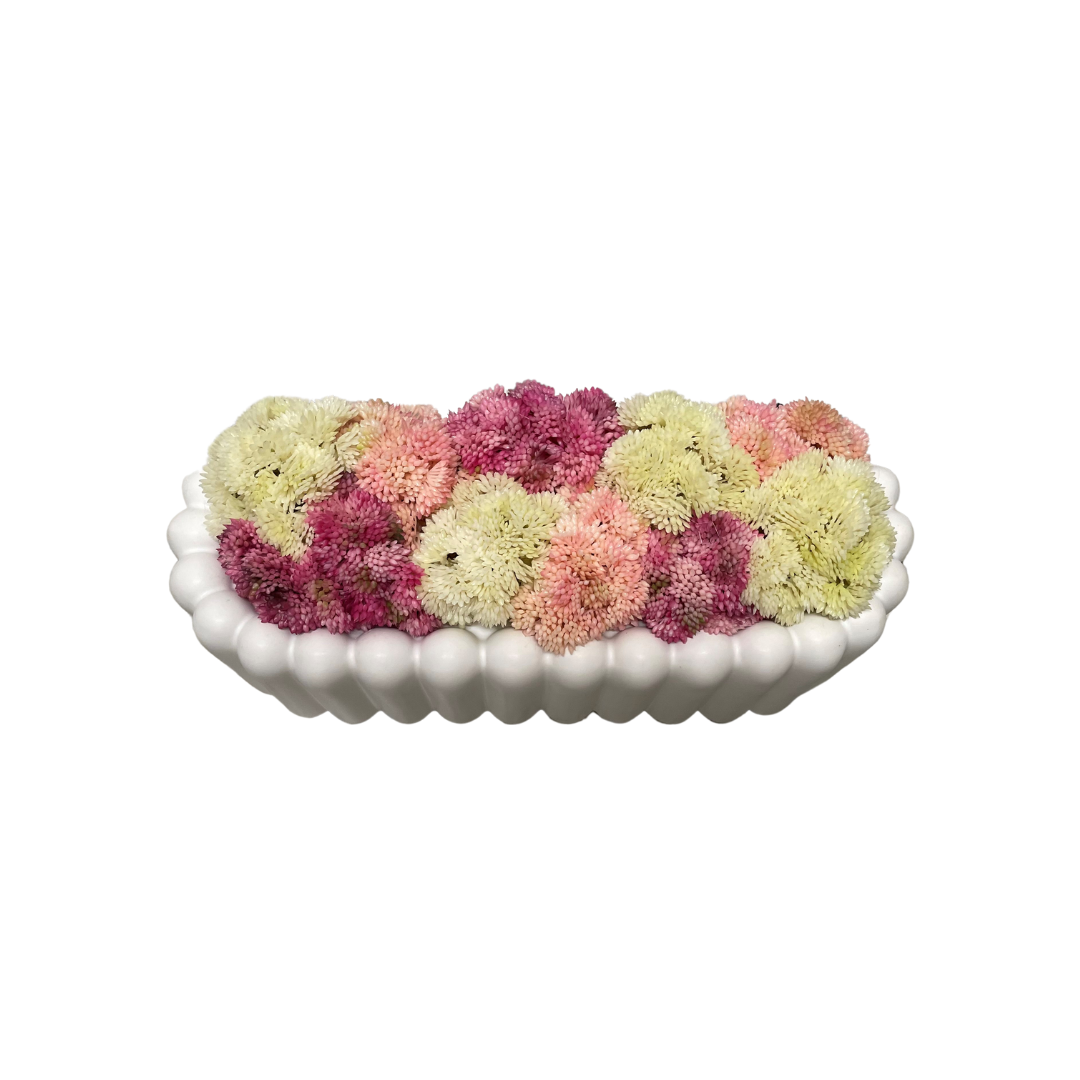 Pink Modern Sedum Arrangement
