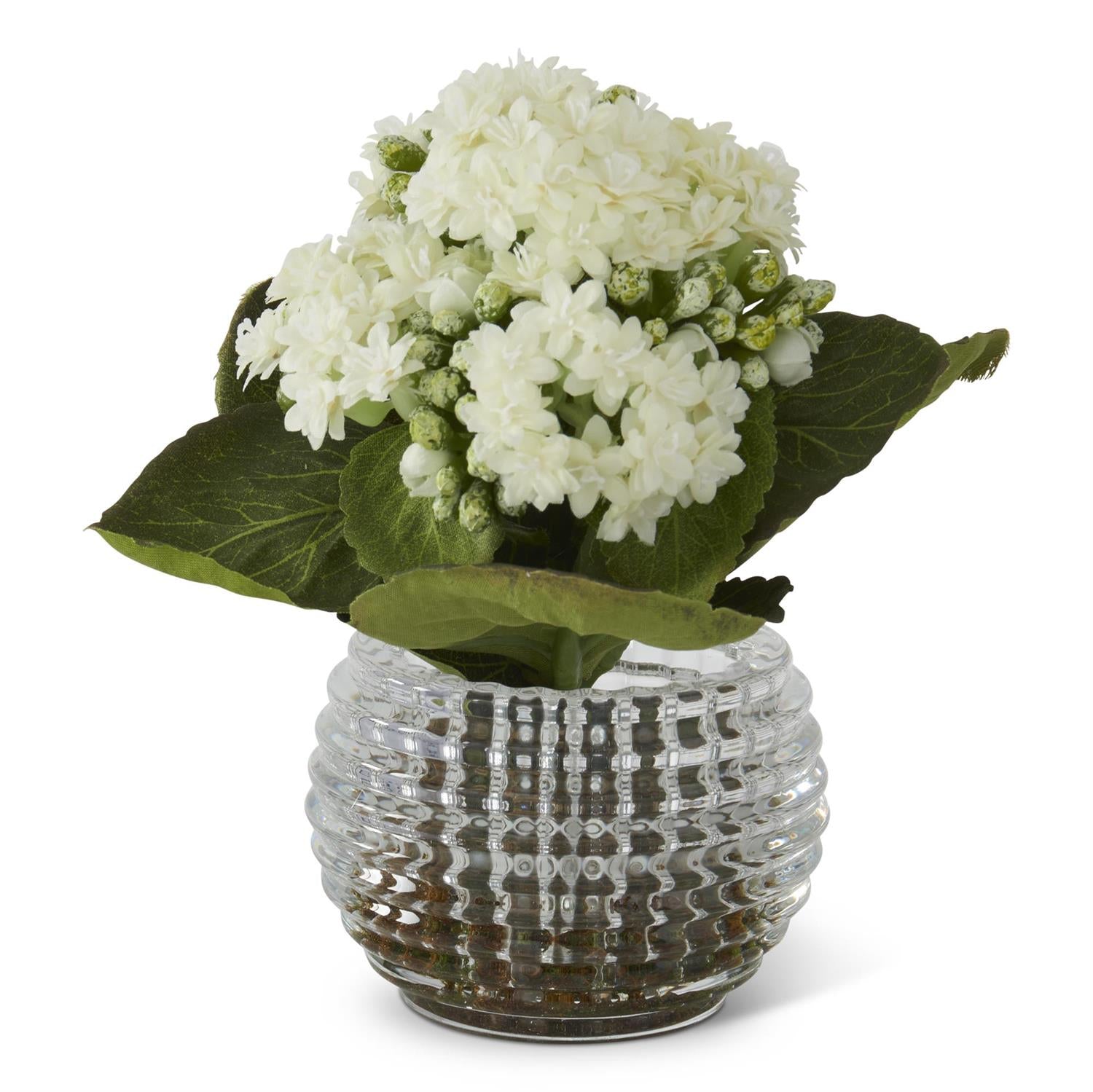 Kalanchoe Arrangement in Pressed Glass Vase