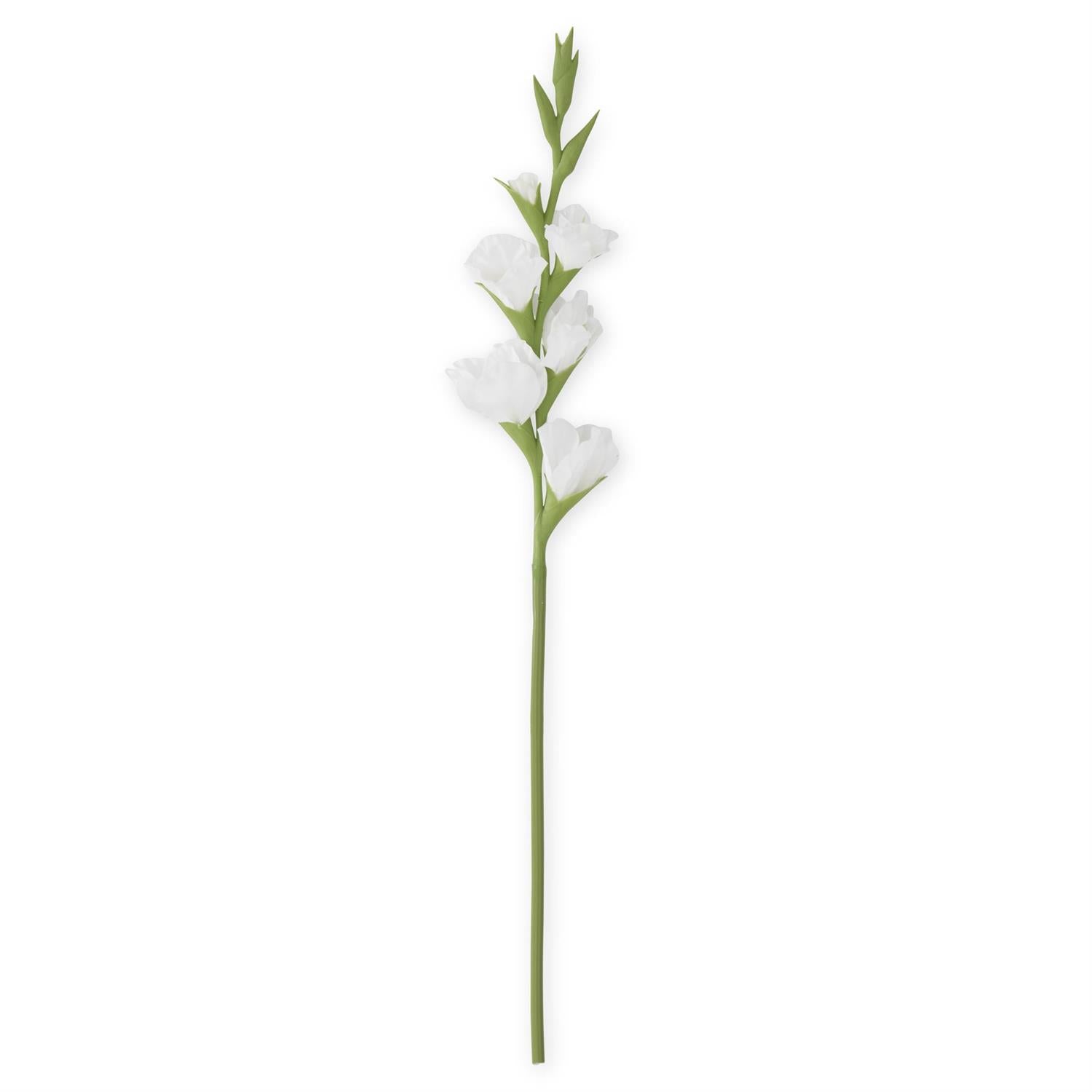 White Real Touch Gladiolus