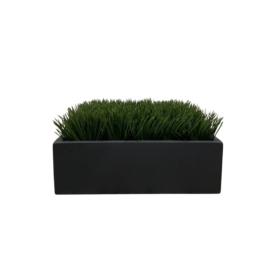 Boxwood Arrangement