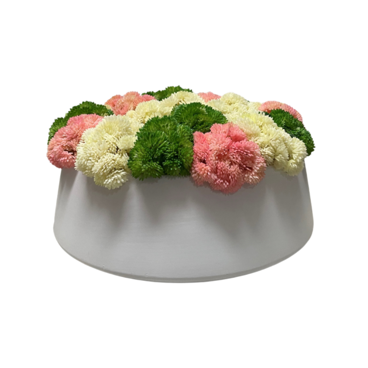 Summer Sedum In Round Pot