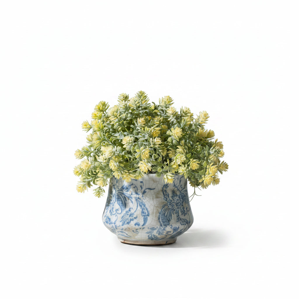 Flaura Sedum Bush in Blue Floral Pot