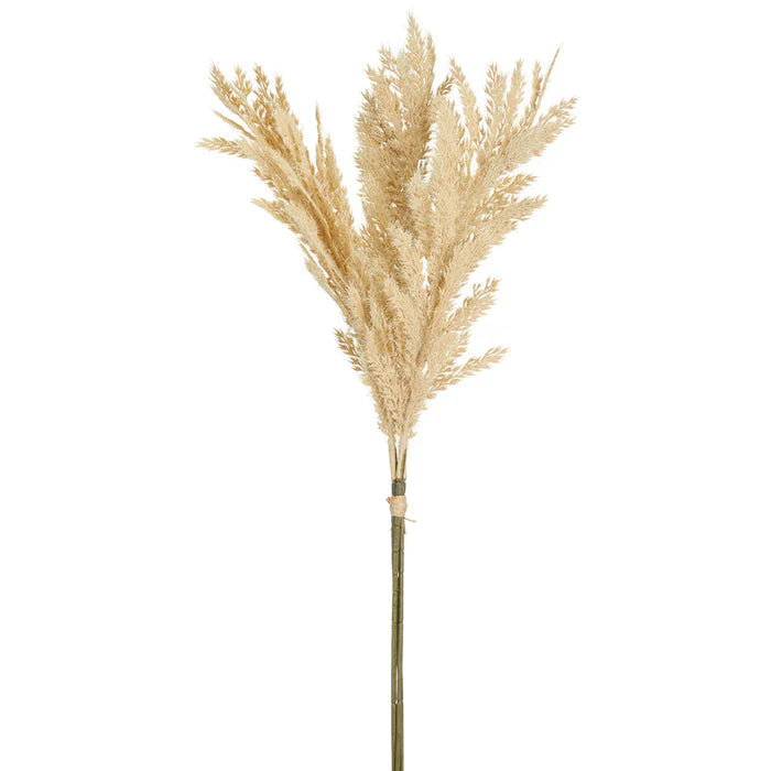 Flocked Pampas bundle- Beige