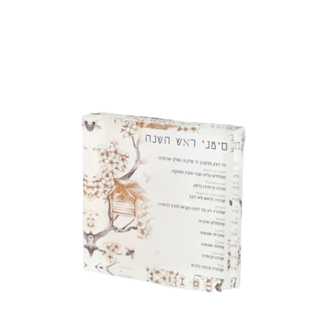 Toile Design Lucite Simanim Block