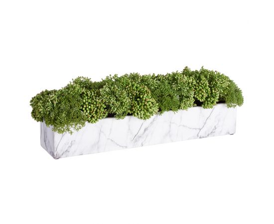 26" Sedum in Cement Pot