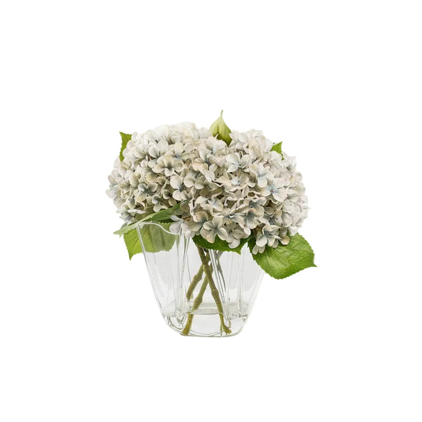 Flaura Hydrangeas