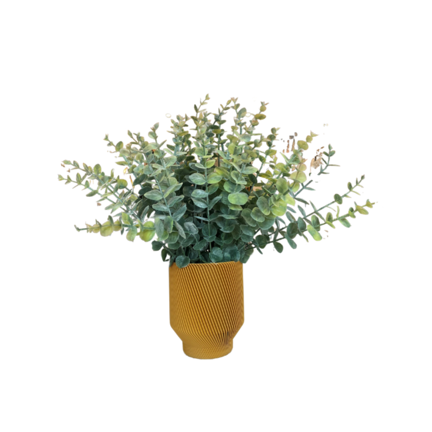 Eucalyptus in Textured Mustard Pot