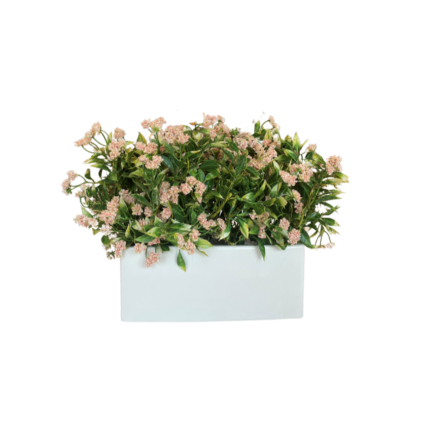 Pink Mini Blossom In Rectangle Pot