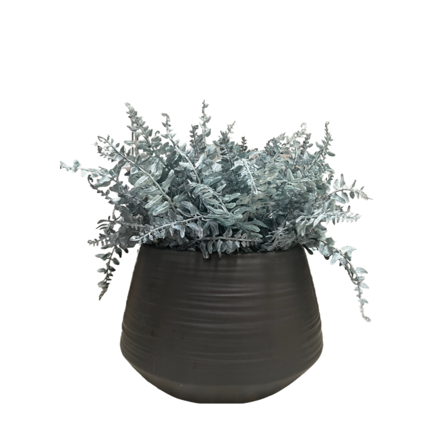 Blue Foliage In Round Textured Pot