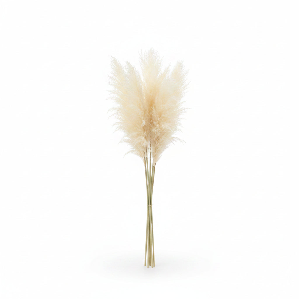 Faux cream pampas grass plume stem