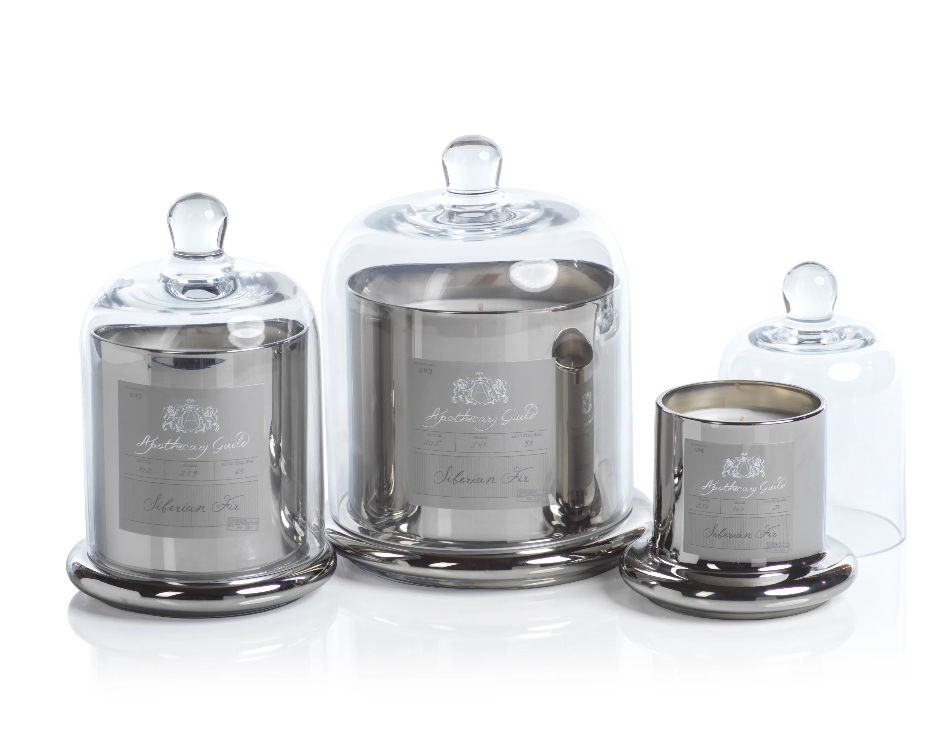 Zodax Apothecary Guild silver Siberian Fir candle with glass dome