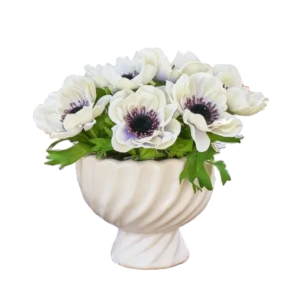 Anemone Bowl