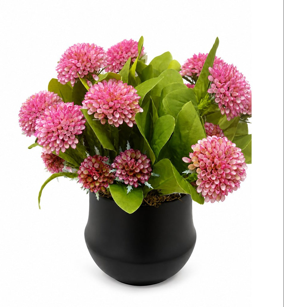 Dahlias in Black Pot