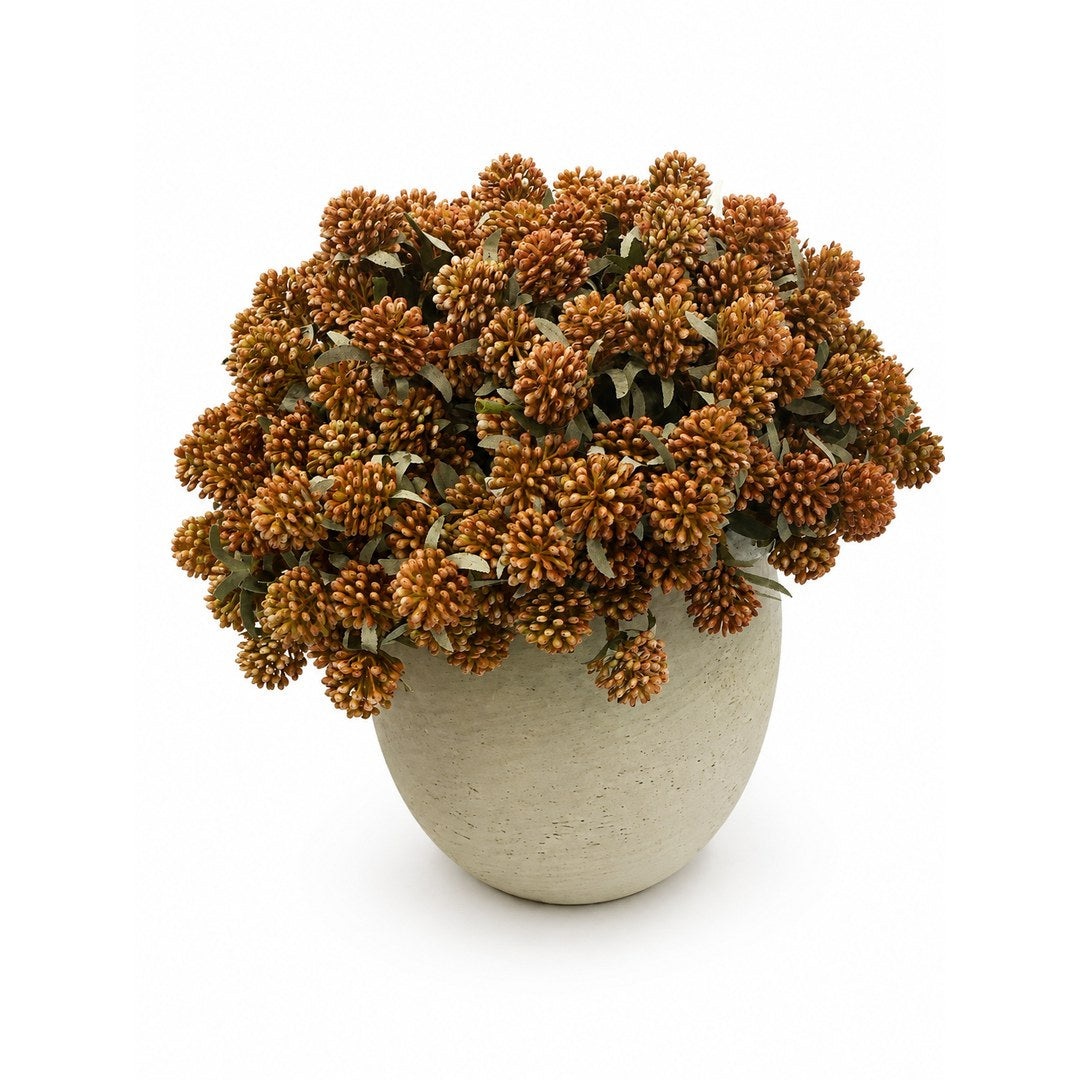 Orange Lucky Berries in Beige Pot