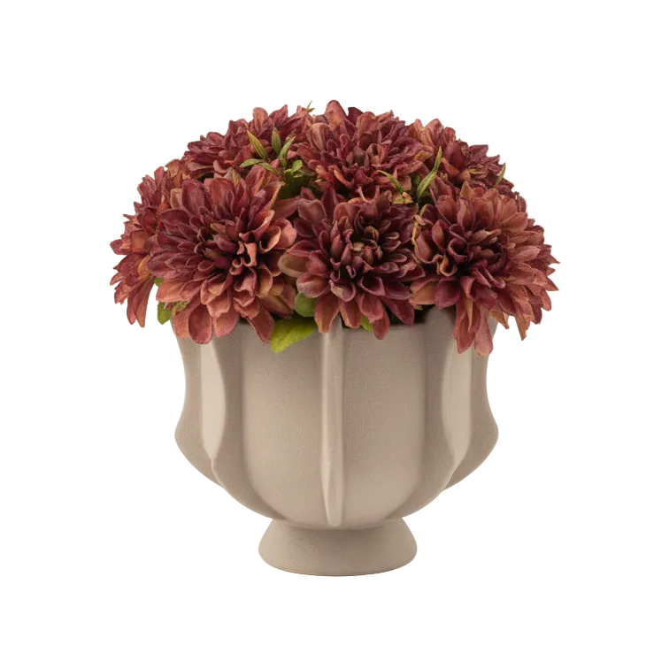 Flaura Burgundy Dahlias