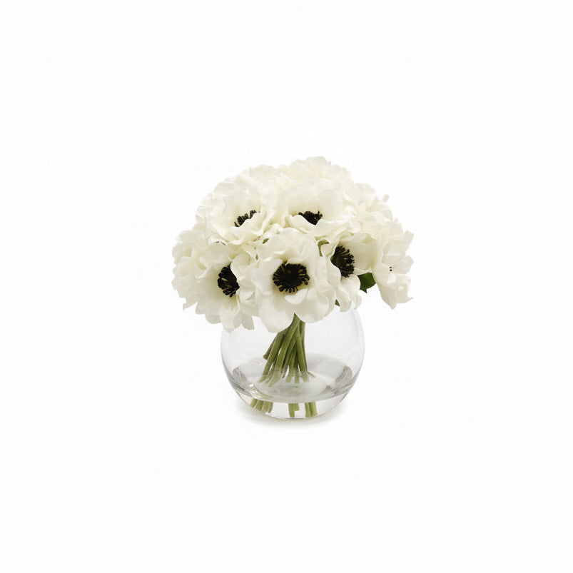 Flaura Anemone in Glass