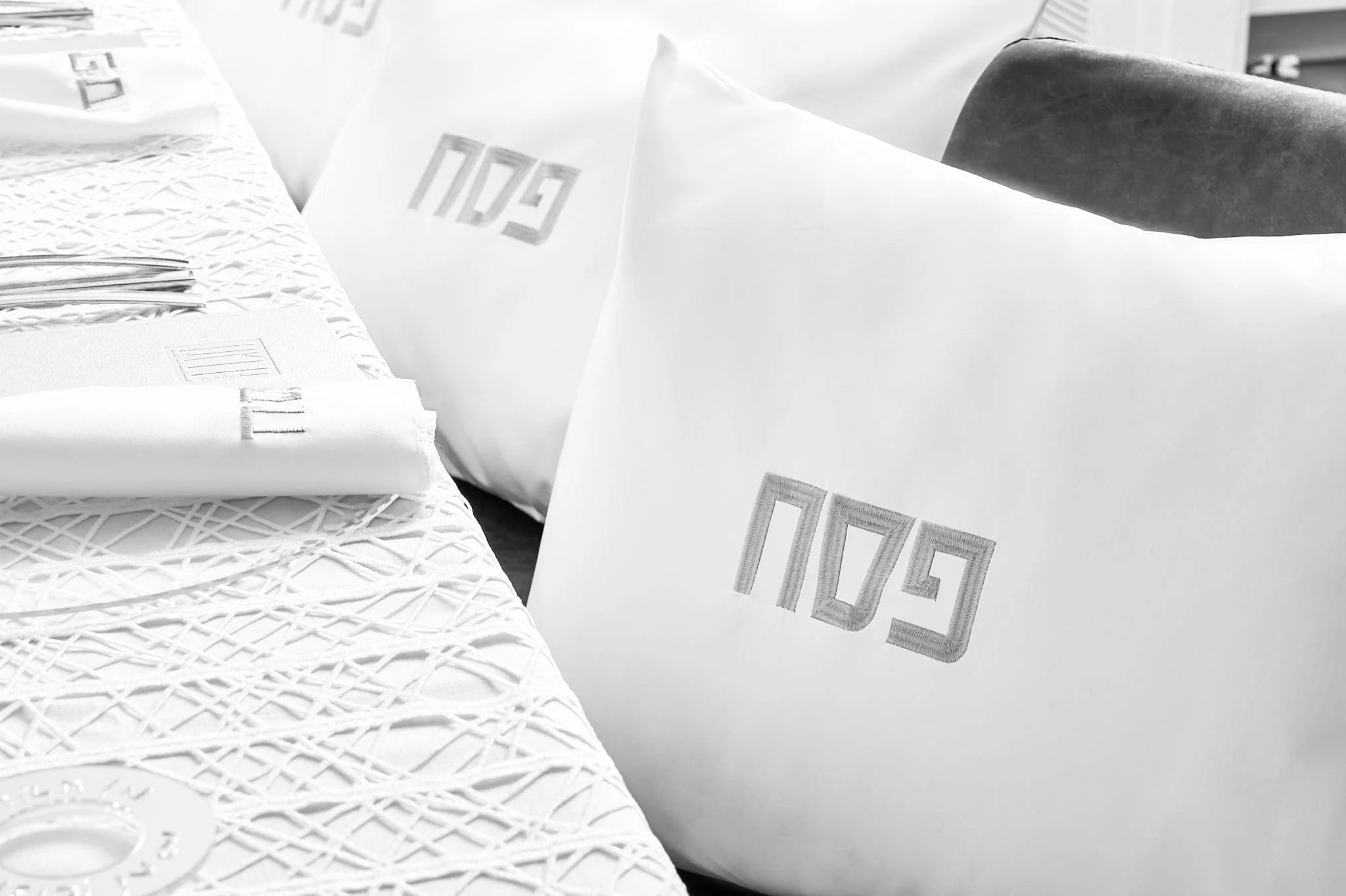 Leather Pesach Pillow Case