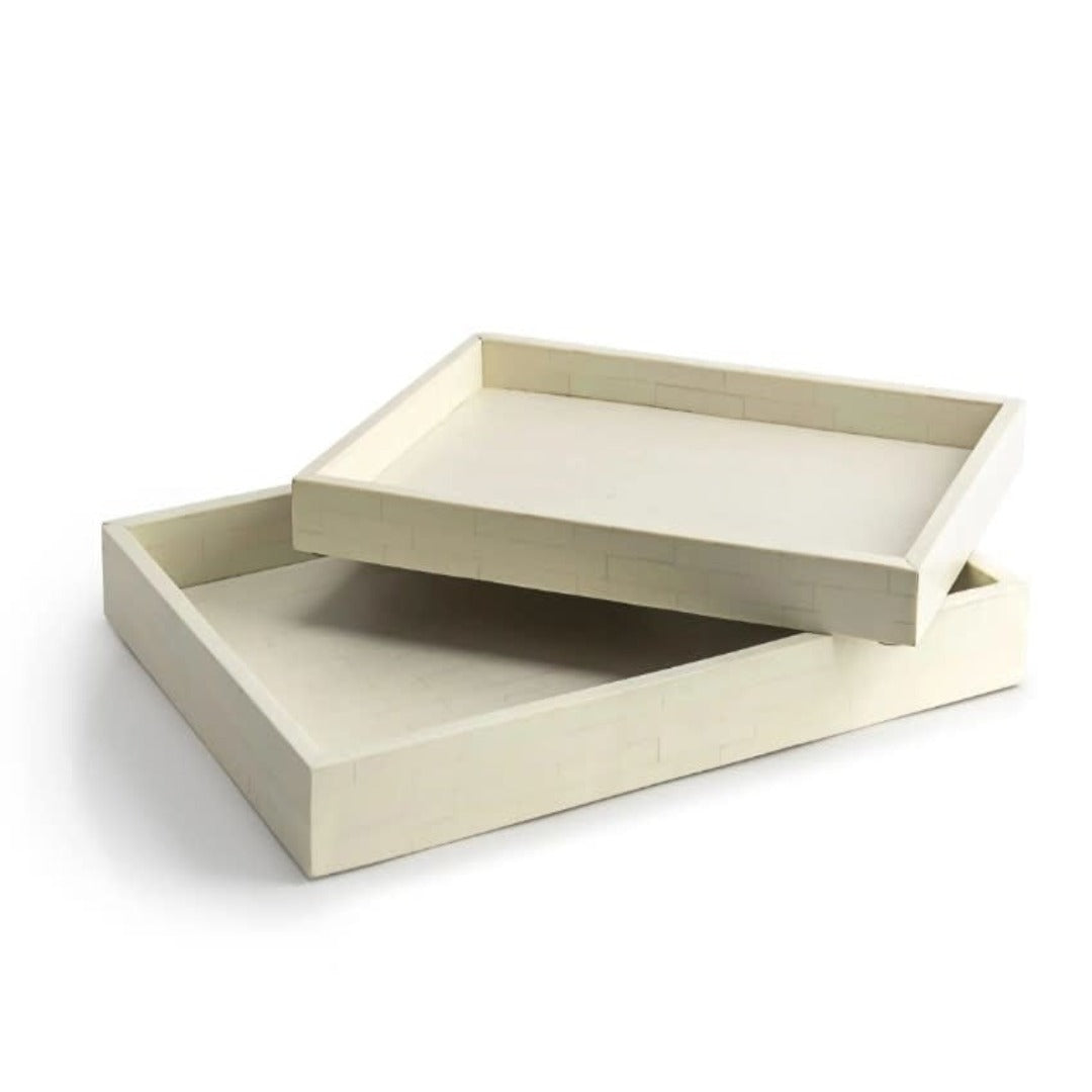 Avid Tray