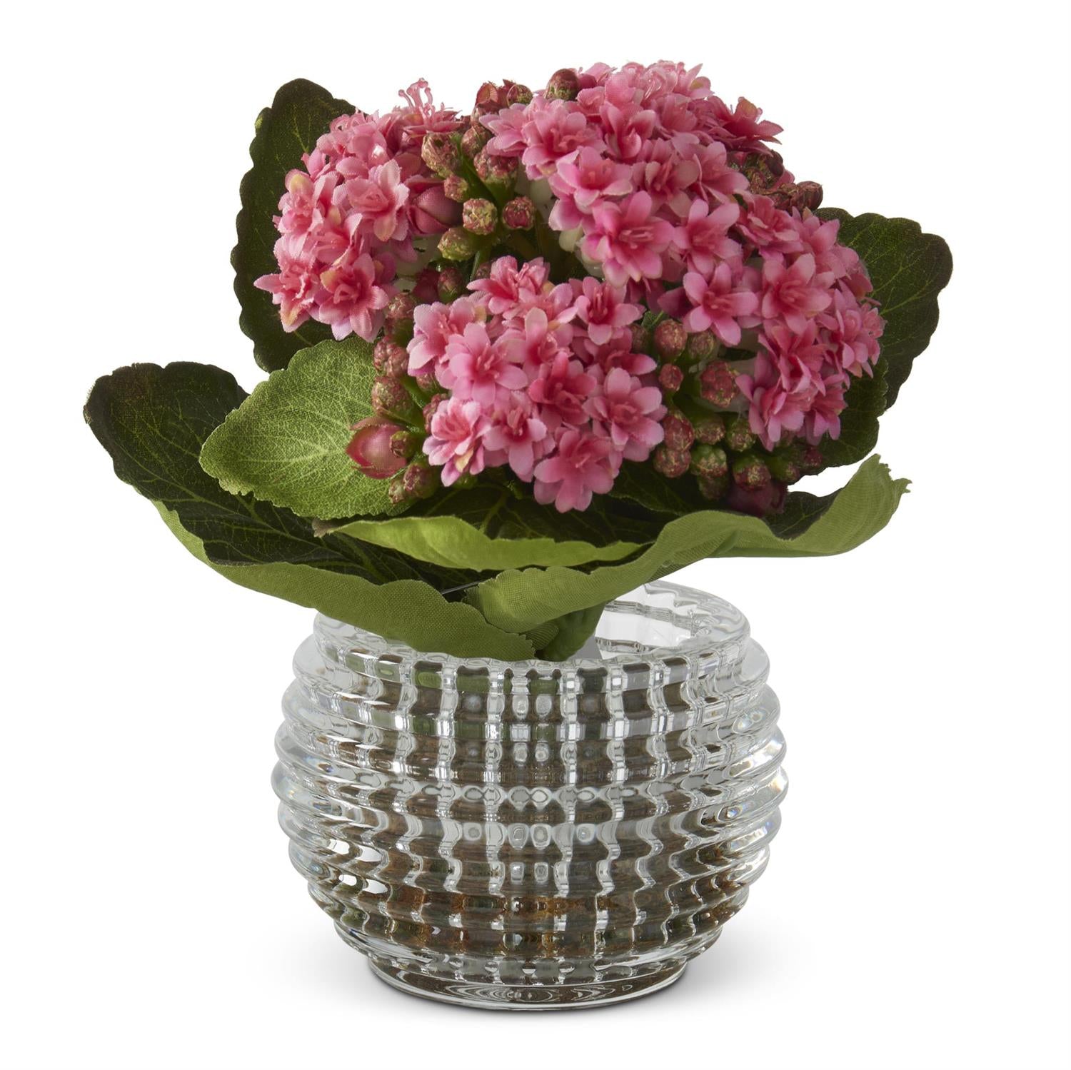 Kalanchoe Arrangement in Pressed Glass Vase