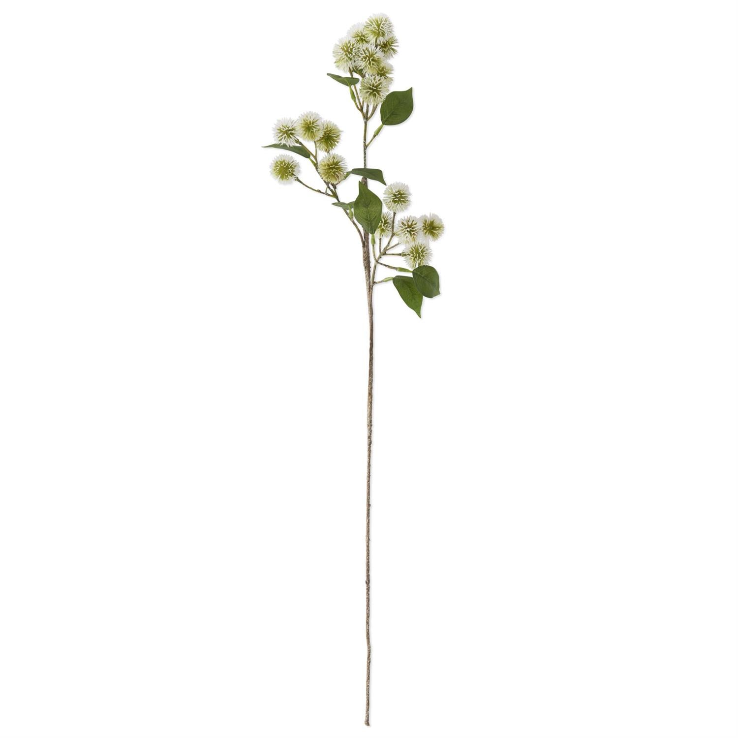 White w/Green Globe Amaranth Stem