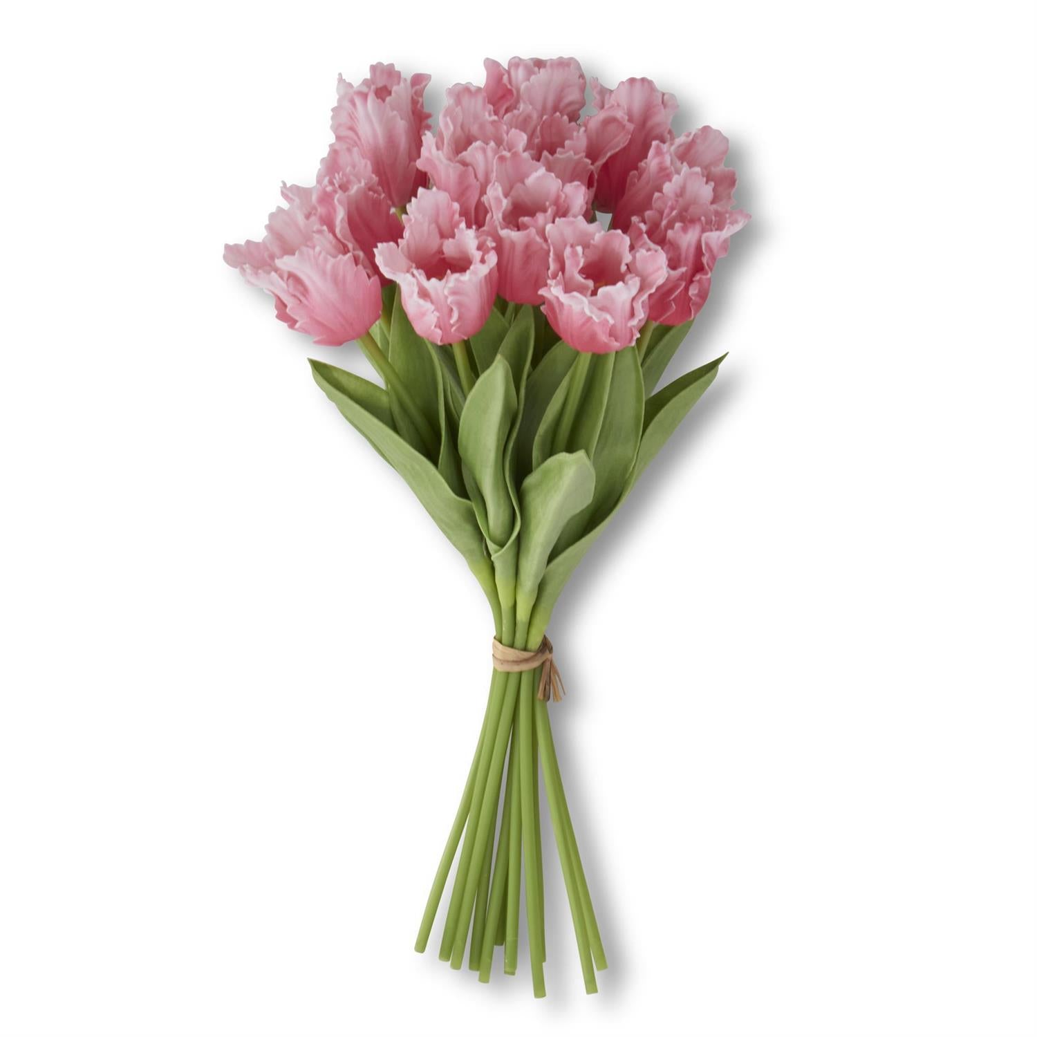 Real Touch Parrot Tulip Bundle