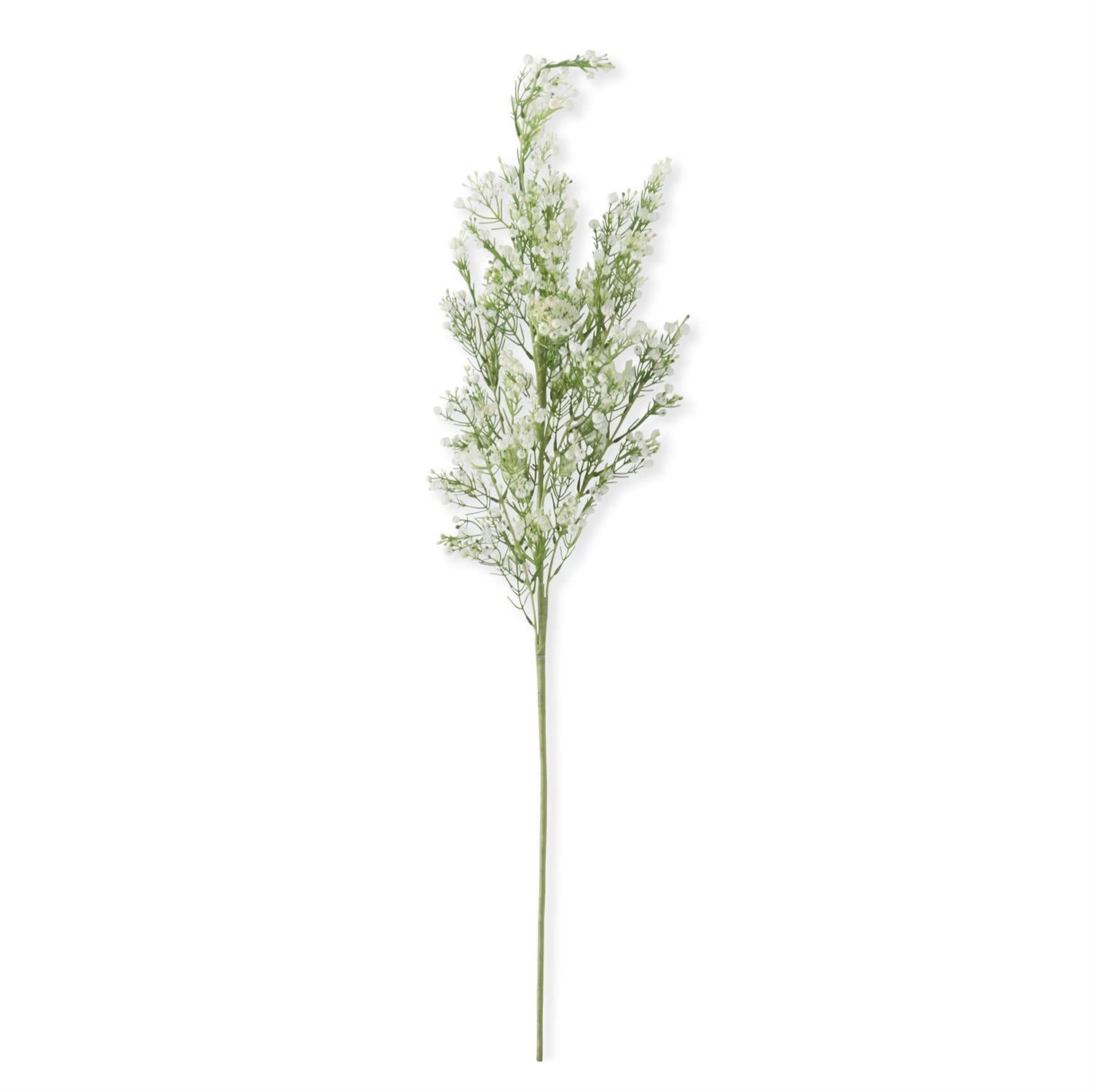 Cream Babys Breath Stem