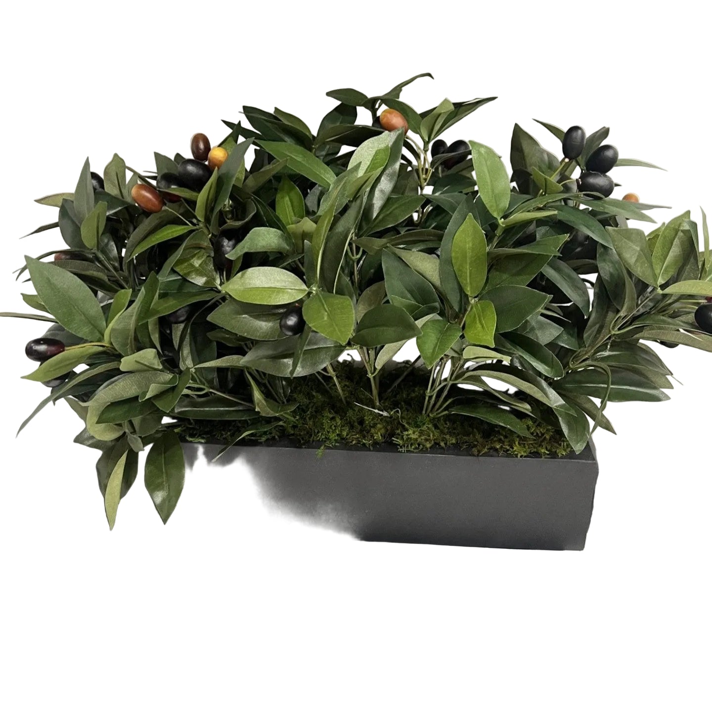 Flaura Olive Branches in Black Rectangular Pot