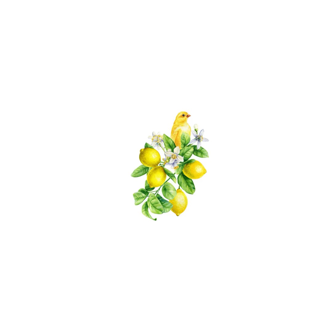 Lemon Bird Foliage Printed Guest Towel
