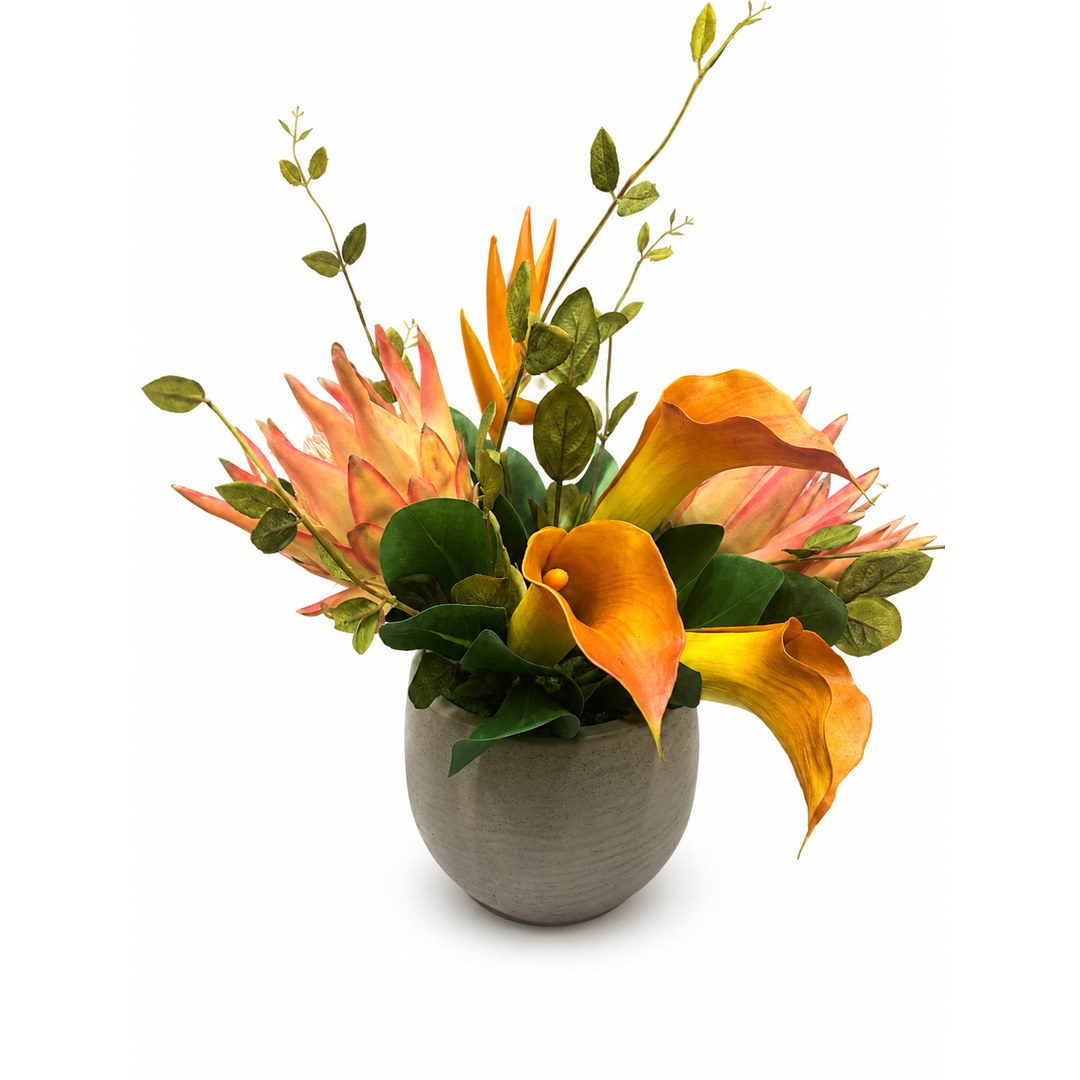 Protea Honura in Beige Pot