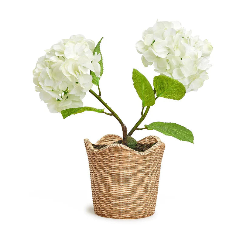 Scalloped Edge Basket Weave Pattern Cachepot