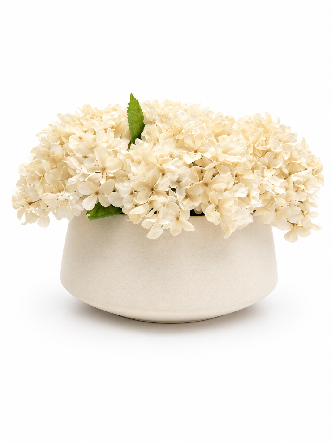 Flaura Cream Hydrangeas