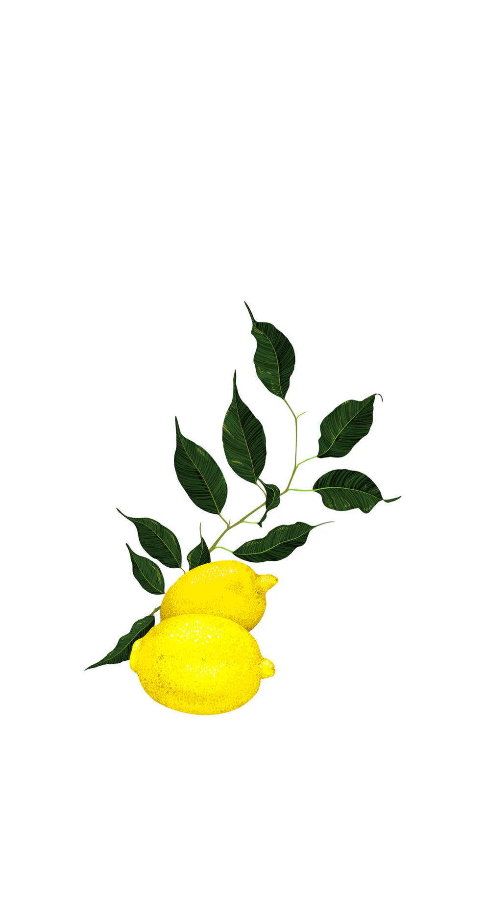 Lemon Leaves Flowers Printed Guest Towel