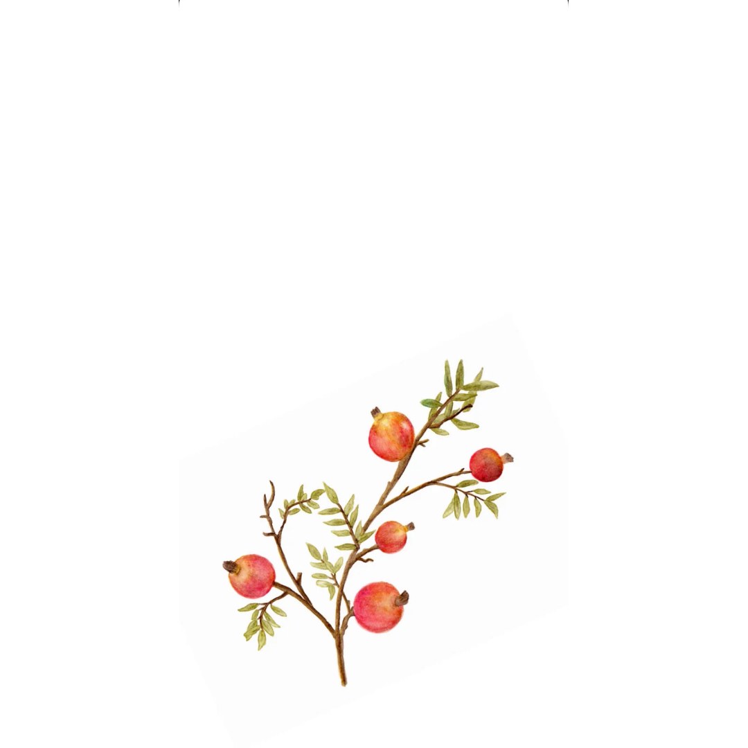 Rimon Branch - Printed Guest Towel
