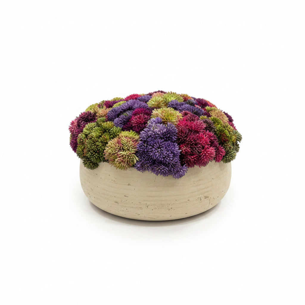 Colorful Sedum in Gray Wash