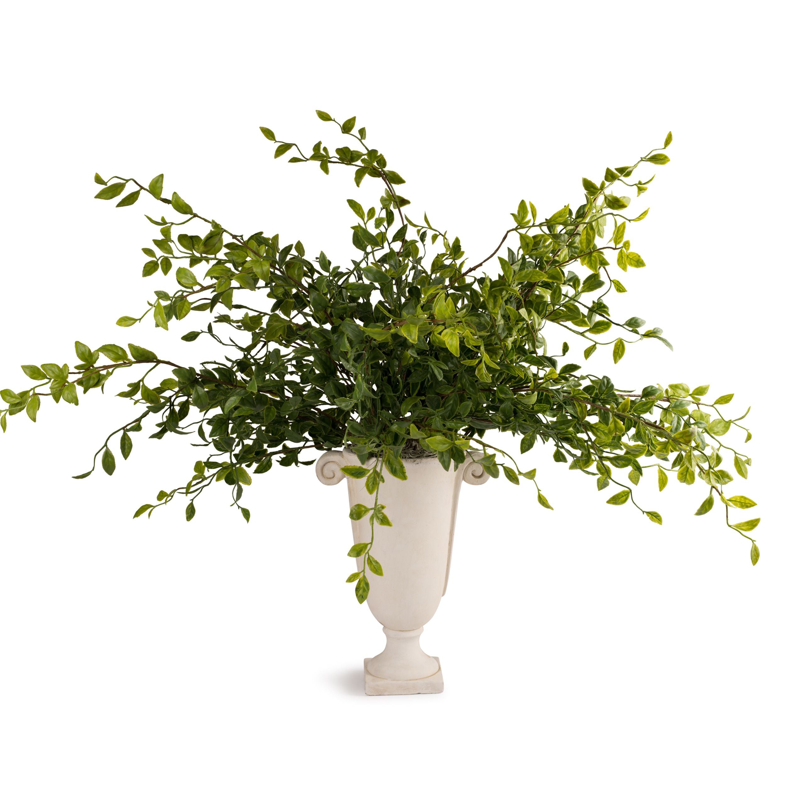 Flaura Tall Fern in Pedestal Vase