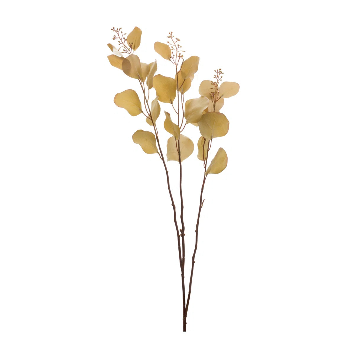 Seeded Eucalyptus Light Yellow