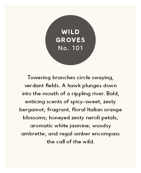 Ferrum Wild Groves Candle