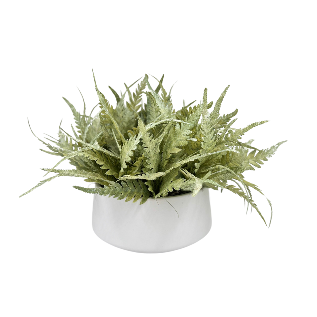 Flaura Green Bush in White Pot