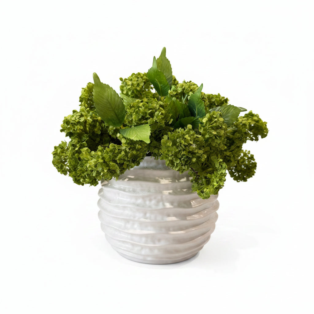 Flaura Green Snowball in Wavy Pot