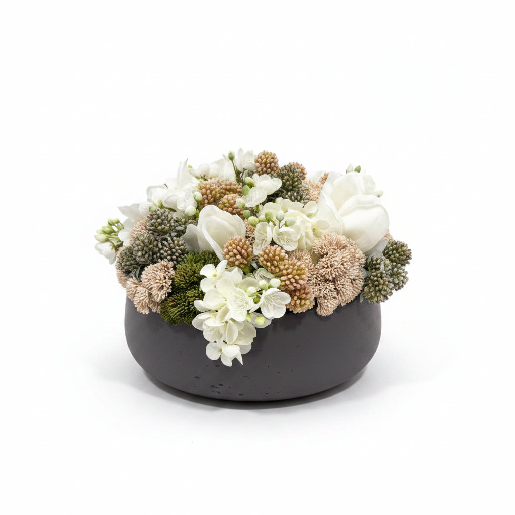 Summer Sedum in Round Pot
