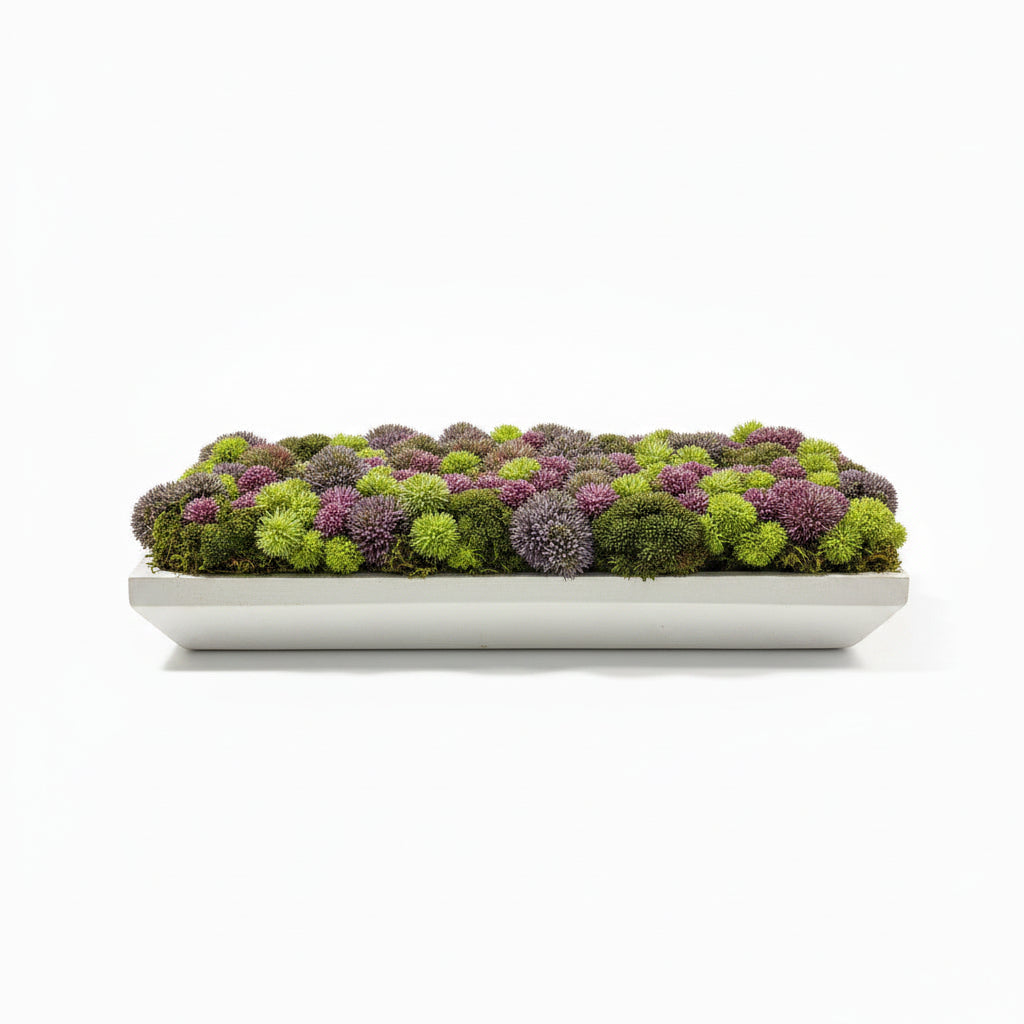 Colorful Sedum in Wood Vase
