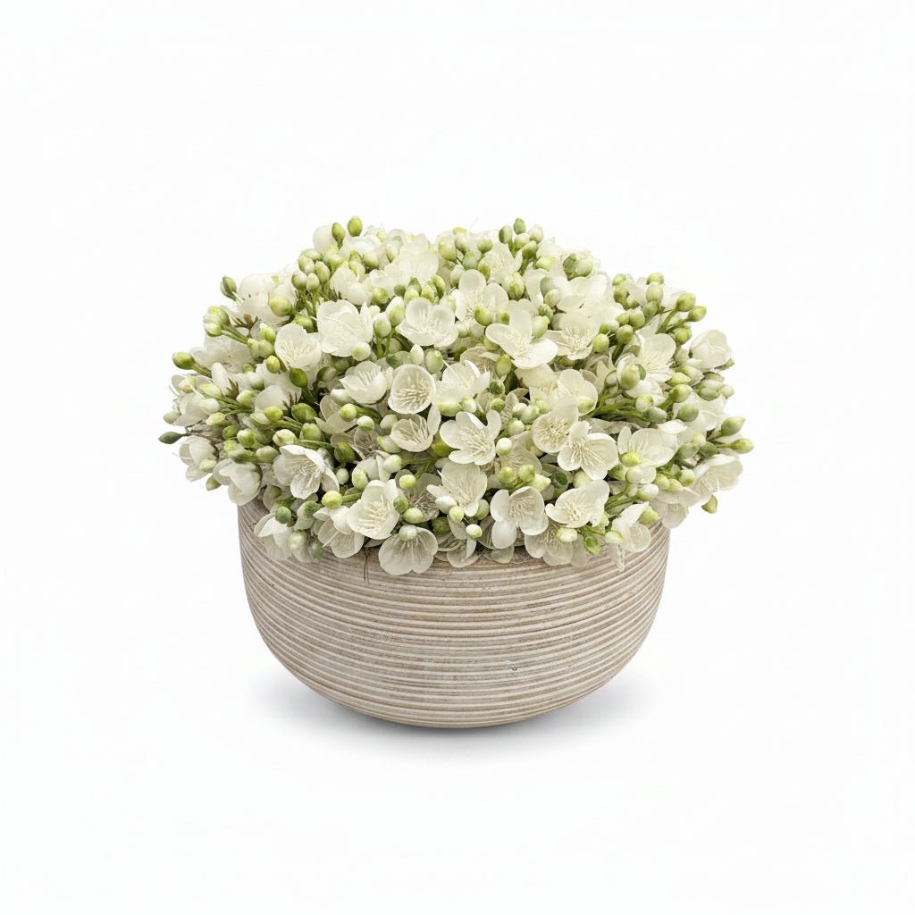 Jasmin Blossoms in Round Cement Pot