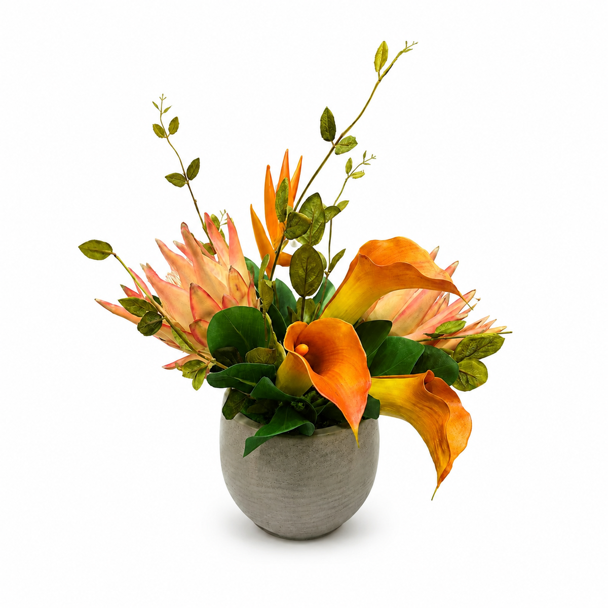 Protea Honura in Beige Pot