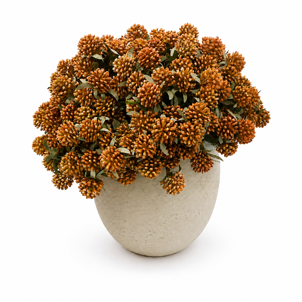 Orange Lucky Berries in Beige Pot