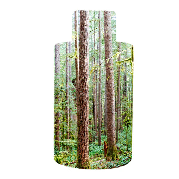 Scentfinity Transcend Plug-in Gift Set