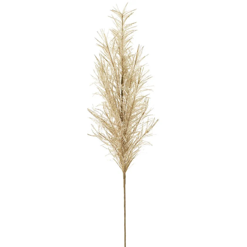 Snowed Pampas Grass Spray