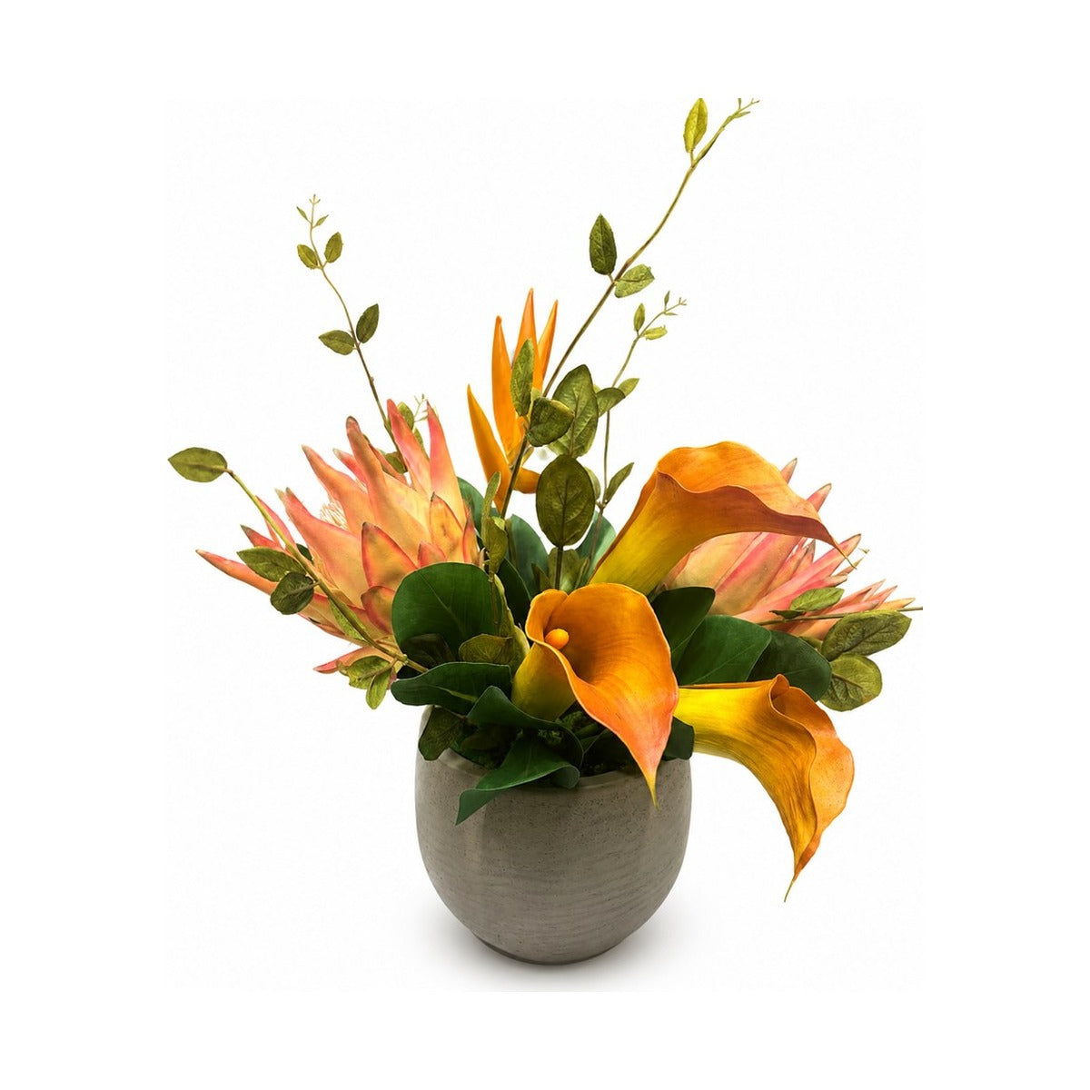 Protea Honura in Beige Pot