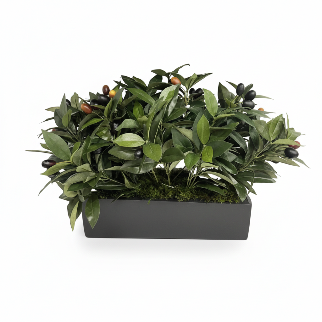 Flaura Olive Branches in Black Rectangular Pot