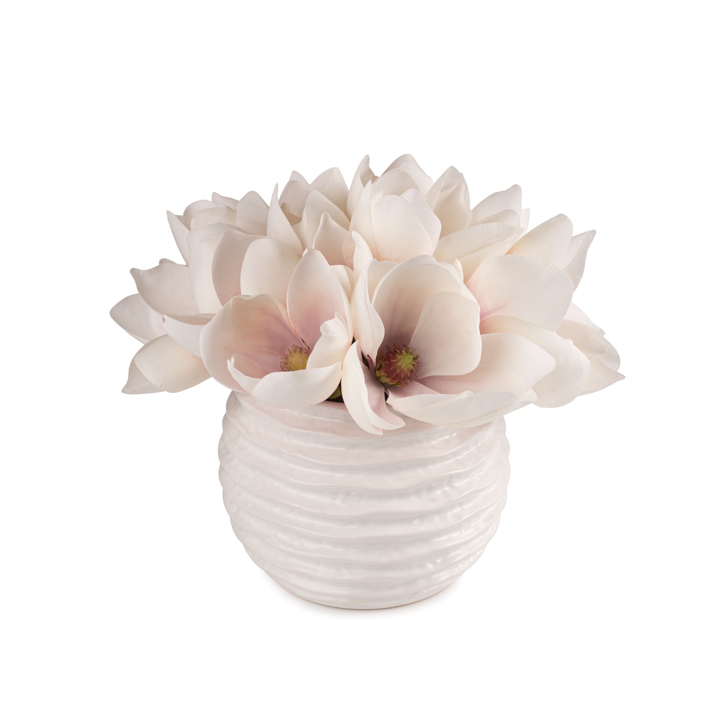 Flaura White Magnolia in Wavy Pot